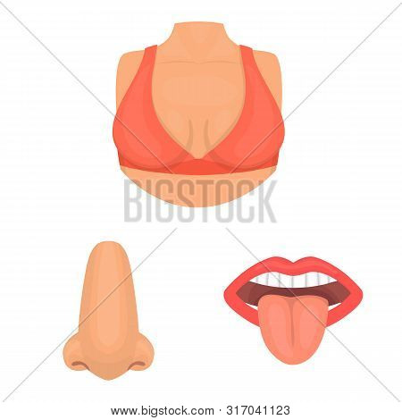 Isolated Object Of Body And Part Icon. Collection Of Body And Anatomy Vector Icon For Stock.