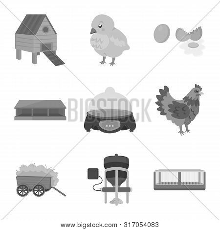 Isolated Object Of Organic And Animal Symbol. Collection Of Organic And Plant Stock Symbol For Web.