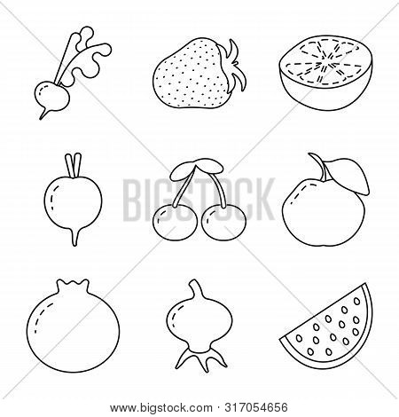 Isolated Object Of Healthy And Ripe Sign. Set Of Healthy And Harvest Vector Icon For Stock.