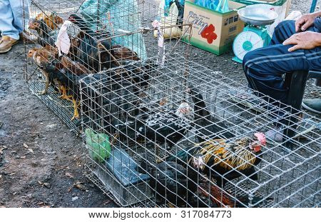 Tuaran Sabah, Malaysia - February 17, 2019: Living Chickens In Cages For Sell At Tamu Tuaran, Street