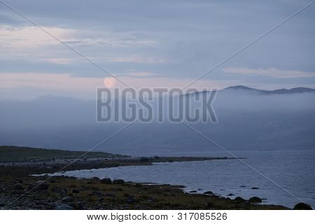 Sredniy Peninsula, Murmansk Region, Algae Thrown Surf, Shore Of The Arctic Ocean, Sredniy Peninsula