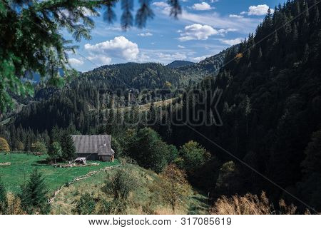 Cotage And The Beautiful Scenic Forests On Sky Background In Carpathian Mountains, Ukraine