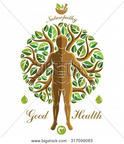 Vector Graphic Illustration Of Strong Male Composed With Green Tree Leaves And Mortar And Pestle. Ra