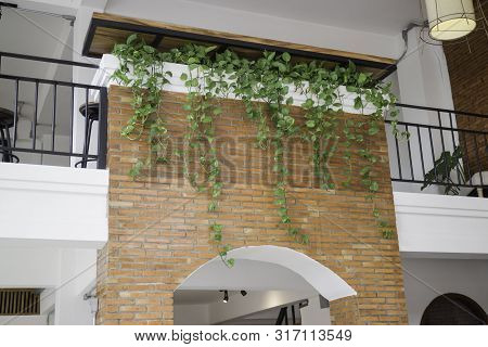 Vintage Hanging Lamps Decorated On Room Ceiling, Stock Photo