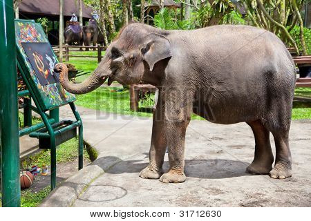 Umělecké Slon kreslení obrázek sloni show, Bali, Indonésie