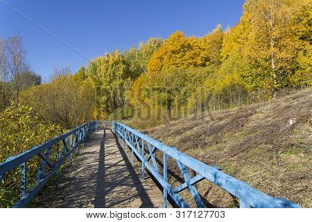 Trees With Yellowed Foliage On The Side Of A Ravine. Sunny Day In October. Landscape Reserve Teply S