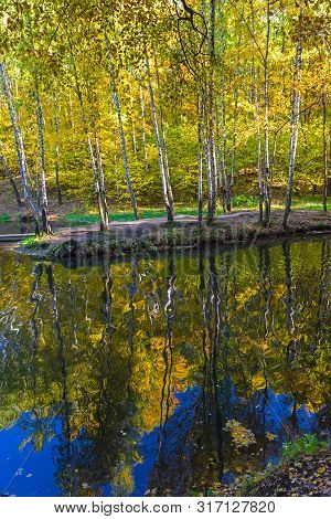 Reflection Of Coastal Trees In The Water Surface. Pond In The Landscape Reserve Teply Stan, Moscow, 