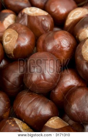 Conkers