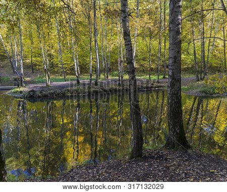 Reflection Of Coastal Trees In The Water Surface. Pond In The Landscape Reserve Teply Stan, Moscow, 