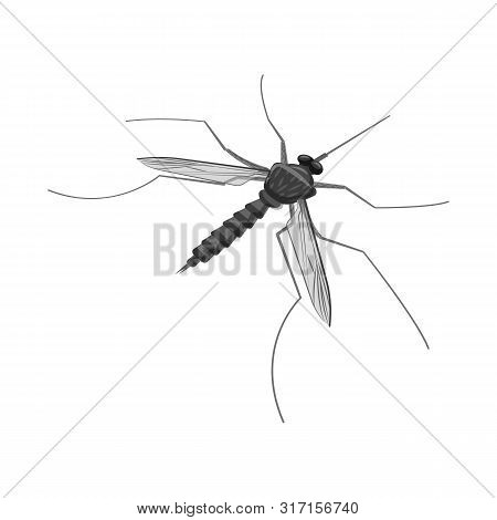 Vector Design Of Gnat And Mosquito Icon. Collection Of Gnat And Virus Stock Vector Illustration.