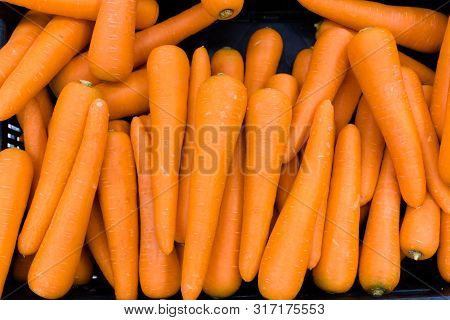 Fresh Carrots For Sale At Food Department Inside Hypermarket