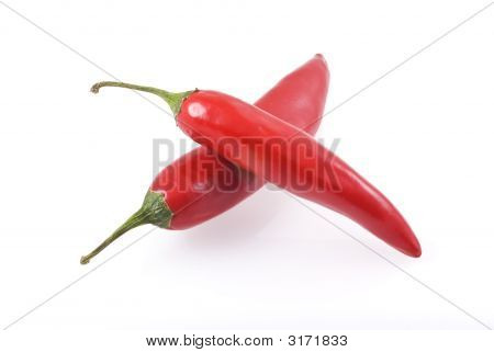 레드 핫 칠리 페퍼스입니다.
