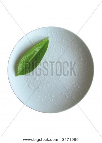 Feuille à plaque