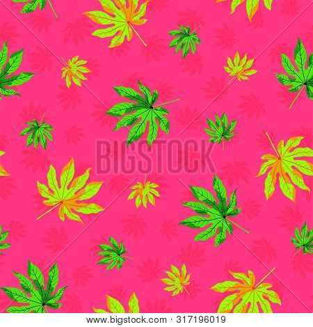 Raster Illustration. Autumn Aralia Leaves On Pink Background With Small Aralia Leaves Silhouette.sea