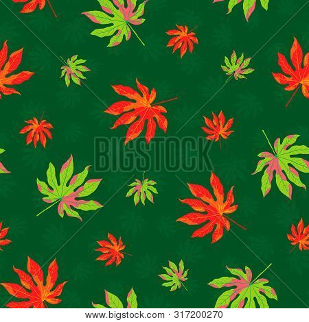 Raster Illustration. Autumn Aralia Leaves With Tiny Leaves Silhouette On Dark Green Background. Best