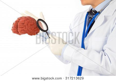 Doctor Check 3d Brain , Concept Brain Disease