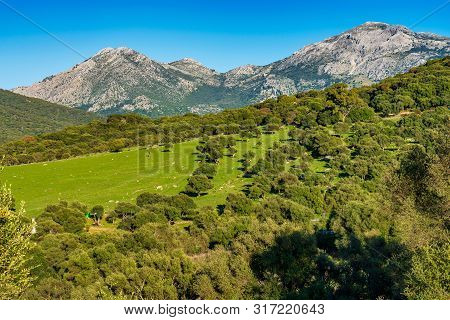 Landscape Near Ubrique, Cadiz. Spain, Andalusia In The Park Of Alcornocales