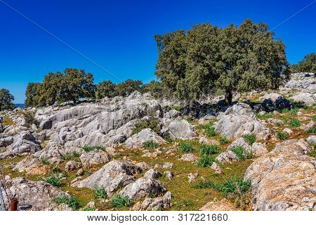 Landscape Near Cuevas Del Becerro In Province Malaga, Andalusia, Spain
