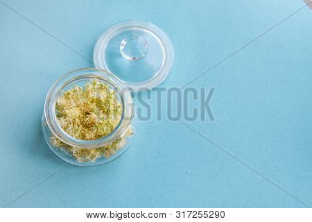 Yellow Flowers Of Fragrant Linden Macro On A Blue Background In A Glass Jar. Healing Plant. Copy Spa