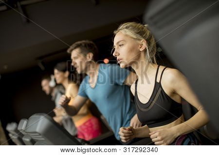 Young People Using Threadmill In Modern Gym