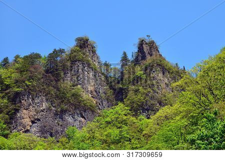 North Korea. Amazing Scenery. Ulim Mountains Covered With Red Korean Pine Trees And Maples.