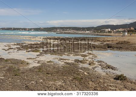 Rosignano (near Vada), White Beach In Italy, Toscany.