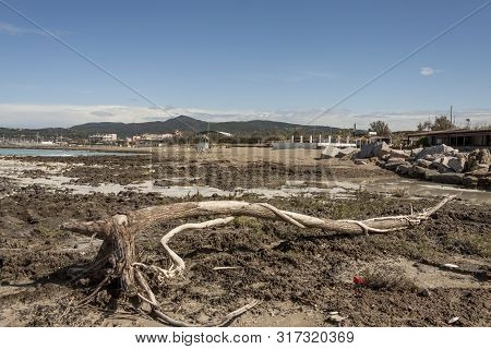 Rosignano (near Vada), White Beach In Italy, Toscany.