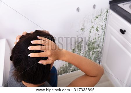 Side View Of A Young Woman Looking At Mold On Wall