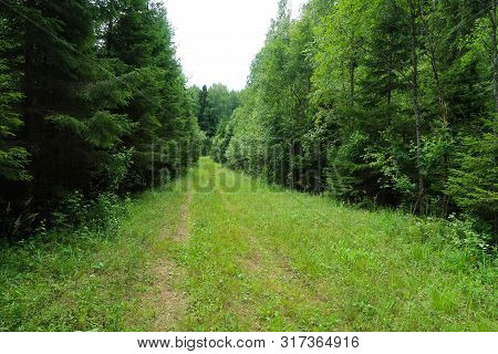 Image Of The Forest Trail. Hiking Morivational Photo. Russian Nature Landscape