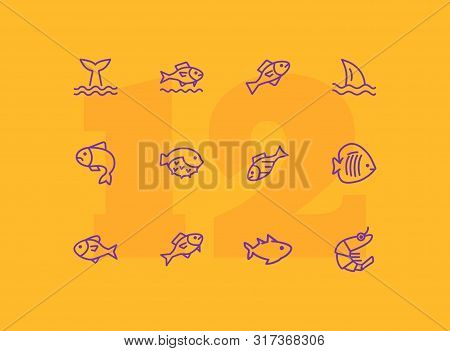 Sea Products Icon Set. Seaanimal Concept. Vector Illustration Can Be Used For Topics Like Seafood, C
