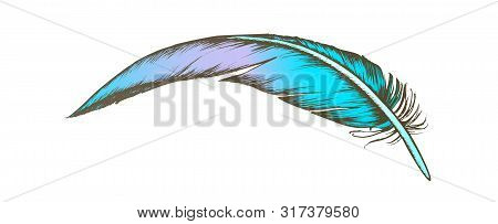 Color Lost Bird Outer Element Feather Vintage . Fluffy Feather Characteristic Distinguish Extant Fli