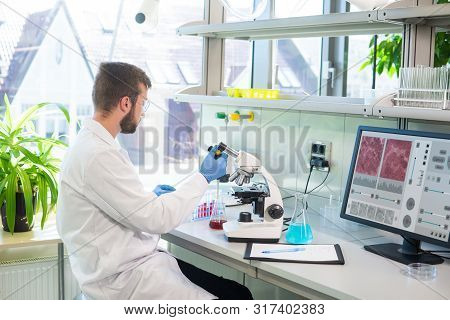 Scientist Working In Lab. Doctor Making Microbiology Research. Laboratory Tools: Microscope, Test Tu