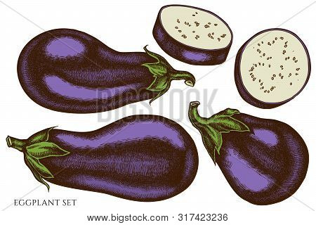 Vector Set Of Hand Drawn Colored Eggplant Stock Illustration