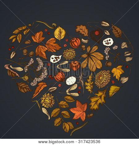 Heart Floral Design On Dark Background With Rowan, Rowan, Acorn, Buckeye, Fern, Maple, Birch, Maple 