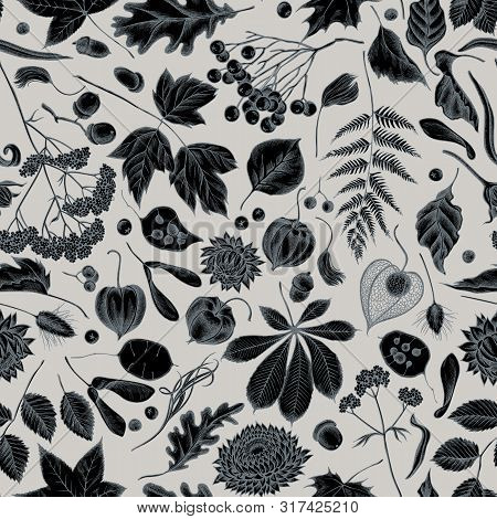 Seamless Pattern With Hand Drawn Stylized Rowan, Rowan, Acorn, Buckeye, Fern, Maple, Birch, Maple Le