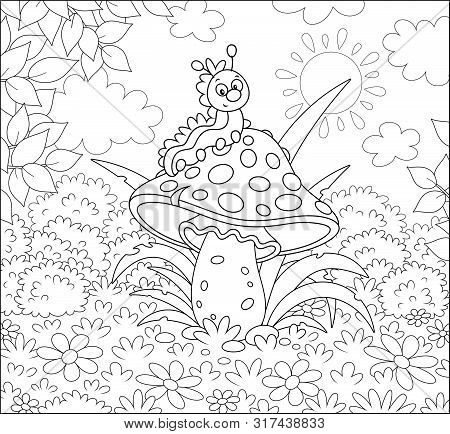 Funny Caterpillar Crawling On A Big Amanita On A Glade Of A Summer Forest, Black And White Vector Il