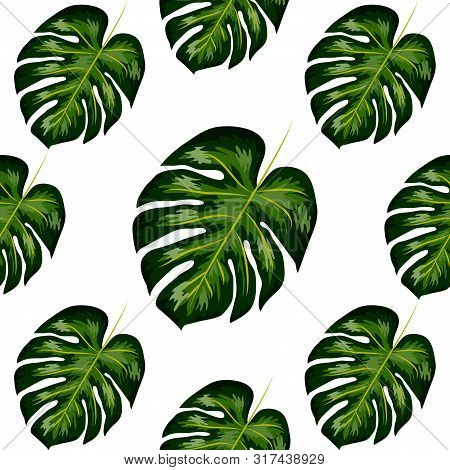 Tropical Pattern. Seamless Texture With Bright Hand Drawn Leaves Of Monstera.