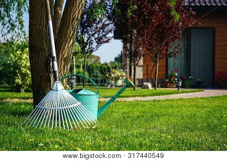 Rake And Watering Can Near Tree On Green Lawn. Gardening Tools