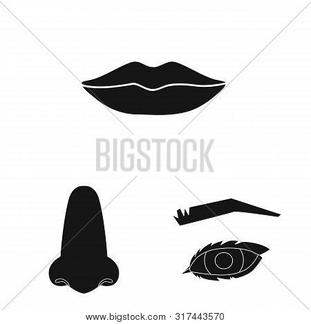 Isolated Object Of Body And Part Symbol. Set Of Body And Anatomy Vector Icon For Stock.