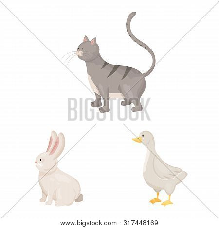 Vector Design Of Farm And Food Logo. Set Of Farm And Countryside Stock Vector Illustration.