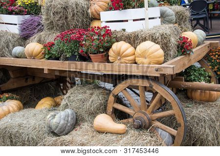 Orange Pumpkins On Hay, Flowers In Pots, Decorative Cartwheel. Autumn Street Decoration Background. 