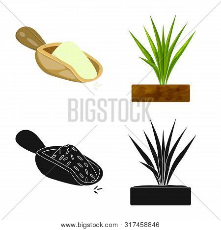 Vector Illustration Of Crop And Ecological Logo. Set Of Crop And Cooking Vector Icon For Stock.