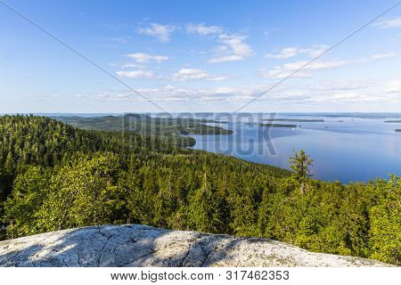 Panorama Of Koli National Park And Pielinen Lake In Finland