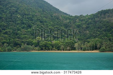 Sandy Beach Surrounded With Trees And Blue Water