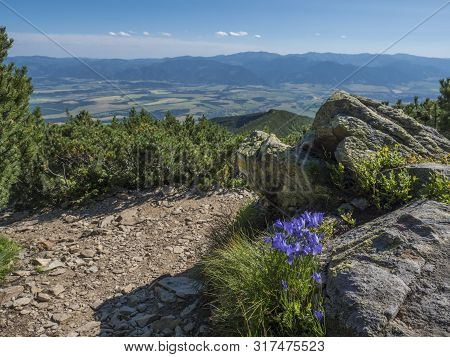 View On Valley Of Liptov Valley From Hiking Trail On Baranec With Yellow Trail Sign And Blooming Blu