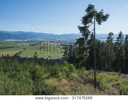 Mountain Valley With Meadow, Spruce Forest, Green Fileds And With Blue Misty Slopes Of Low Tatra Mou