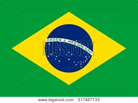 Flag Of Brazil Vector Illustration Worlds Flags Collection