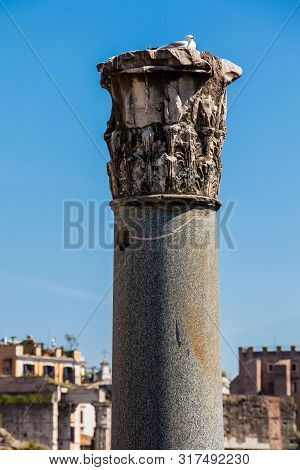 Ruins Of The Forum Of Caesar Built By Julius Caesar Near The Forum Romanum In Rome In 46 Bc