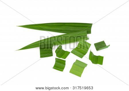 Fresh Green Pandan Leaves Isolated On White Background