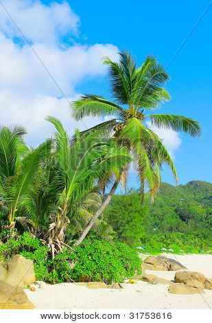 Wilds Paradise Garden